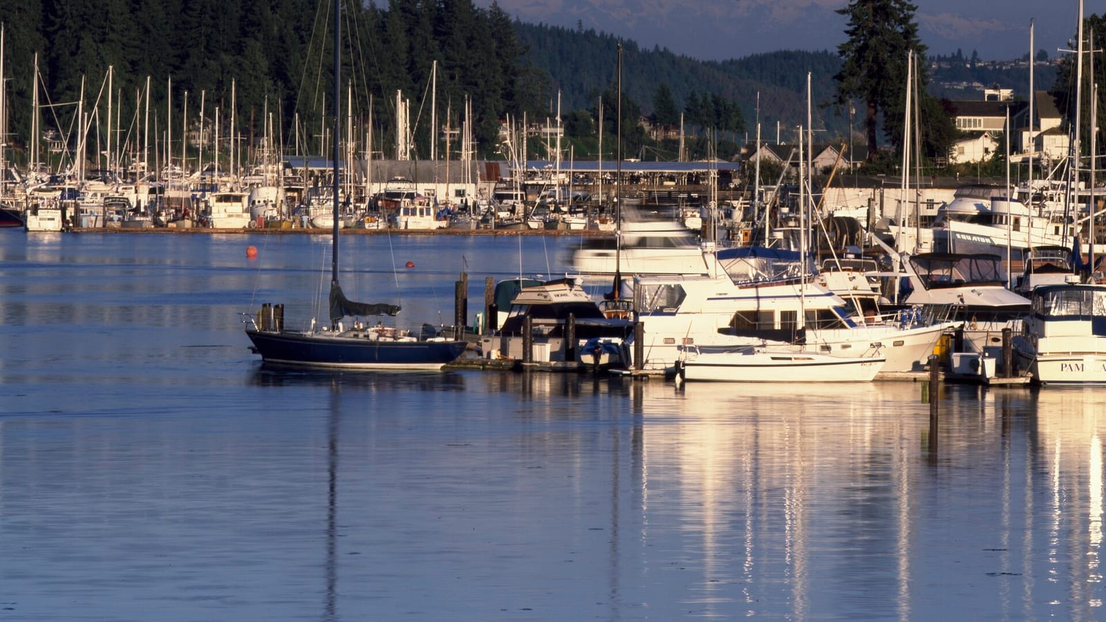Gig Harbor, Washington — Remote Online Notarization (RON) in Washington — Is It Legal?
