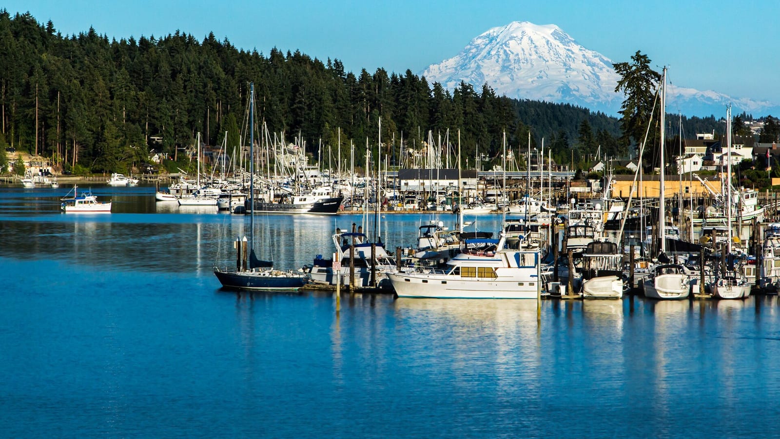Gig Harbor, Washington — Mobile Notary vs. UPS Store vs. Bank — Which Is Right for You?